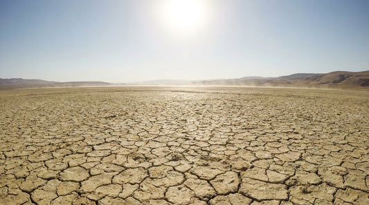 A cracked, sun-bleached dry lakebed stretching to the horizon under harsh midday sun, heat shimmer visible in the distance